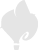 CartoDB
